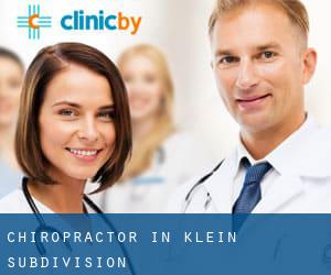 Chiropractor in Klein Subdivision