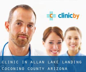 clinic in Allan Lake Landing (Coconino County, Arizona)