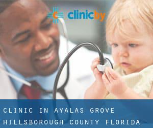 clinic in Ayalas Grove (Hillsborough County, Florida)