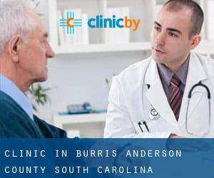clinic in Burris (Anderson County, South Carolina)
