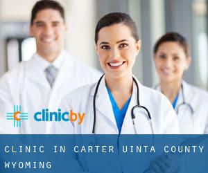 clinic in Carter (Uinta County, Wyoming)