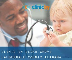 clinic in Cedar Grove (Lauderdale County, Alabama)