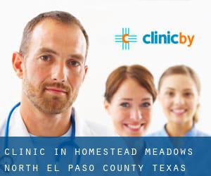 clinic in Homestead Meadows North (El Paso County, Texas)