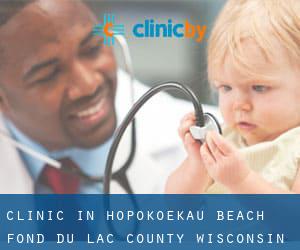 clinic in Hopokoekau Beach (Fond du Lac County, Wisconsin)