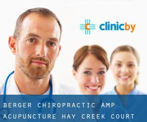 Berger Chiropractic & Acupuncture (Hay Creek Court)