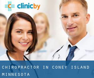Chiropractor in Coney Island (Minnesota)
