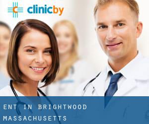 ENT in Brightwood (Massachusetts)