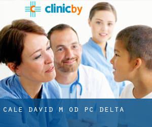 Cale David M OD PC (Delta)