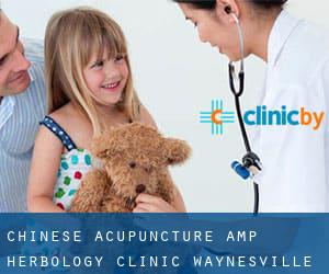 Chinese Acupuncture & Herbology Clinic (Waynesville)