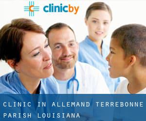 clinic in Allemand (Terrebonne Parish, Louisiana)