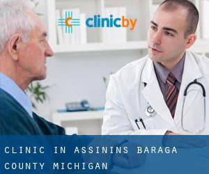clinic in Assinins (Baraga County, Michigan)