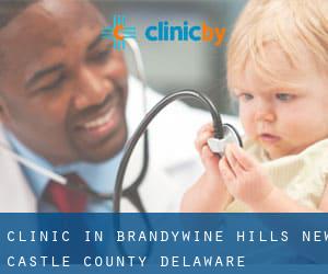 clinic in Brandywine Hills (New Castle County, Delaware)