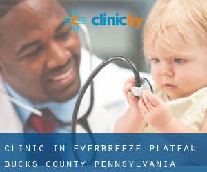 clinic in Everbreeze Plateau (Bucks County, Pennsylvania)
