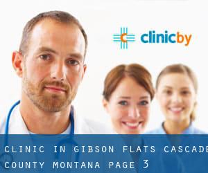 clinic in Gibson Flats (Cascade County, Montana) - page 3