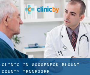 clinic in Gooseneck (Blount County, Tennessee)