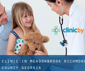 clinic in Meadowbrook (Richmond County, Georgia)
