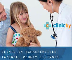 clinic in Schaeferville (Tazewell County, Illinois)