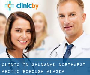 clinic in Shungnak (Northwest Arctic Borough, Alaska)