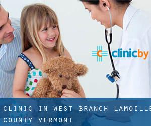 clinic in West Branch (Lamoille County, Vermont)